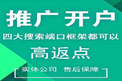揭秘优秀SEM竞价代运营公司案例
